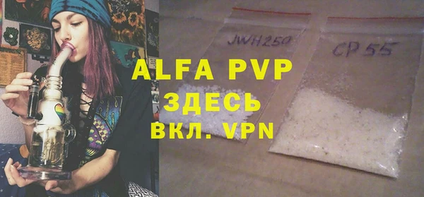 индика Аркадак