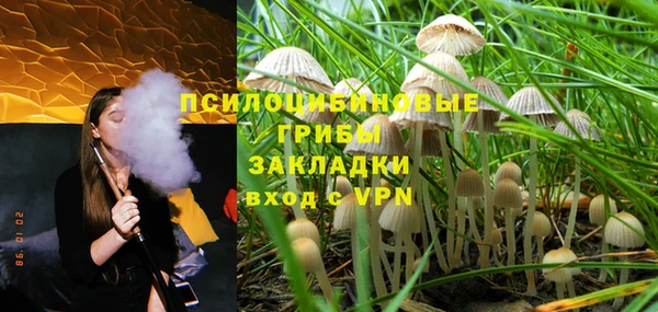 индика Аркадак