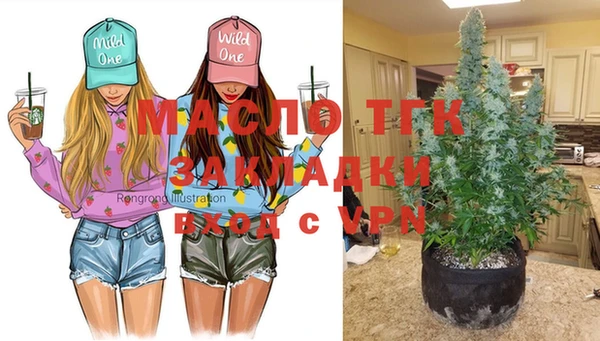индика Аркадак