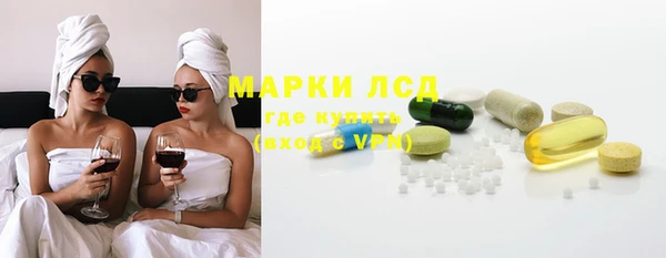 индика Аркадак