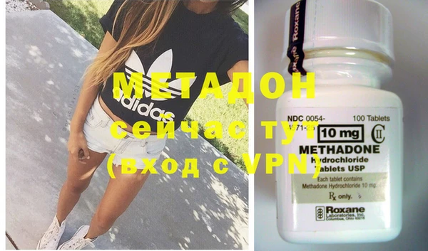 индика Аркадак