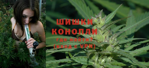 индика Аркадак