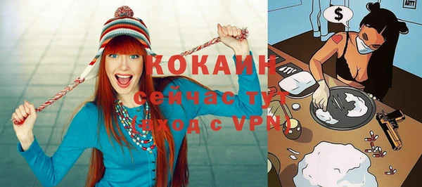 индика Аркадак