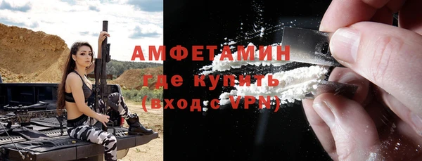 индика Аркадак